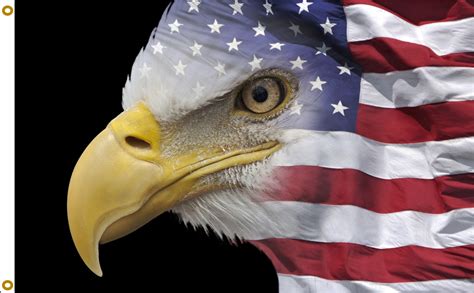 images of american flag and eagle